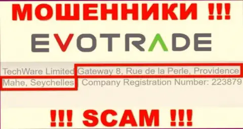 Из организации TechWare Limited забрать обратно средства не выйдет - указанные ворюги осели в оффшоре: Gateway 8, Rue de la Perle, Providence, Mahe, Seychelles