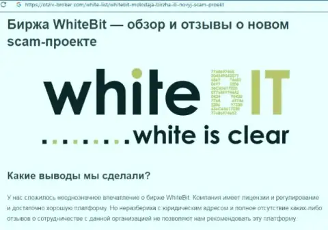 ВайтБит - это компания, сотрудничество с которой доставляет лишь убытки (обзор мошеннических действий)