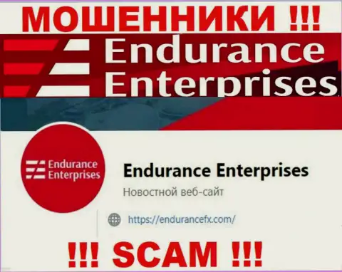 Установить связь с internet-кидалами из компании Endurance Enterprises Вы сможете, если отправите сообщение им на адрес электронного ящика