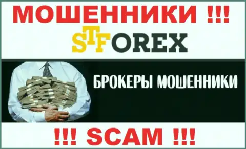 Мошенники STForex только пудрят мозги валютным трейдерам, рассказывая про баснословную прибыль