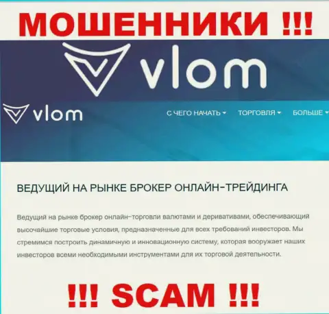 Направление деятельности противозаконно действующей организации Vlom Ltd - это Брокер