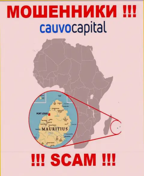 Контора CauvoCapital прикарманивает деньги клиентов, зарегистрировавшись в офшоре - Mauritius