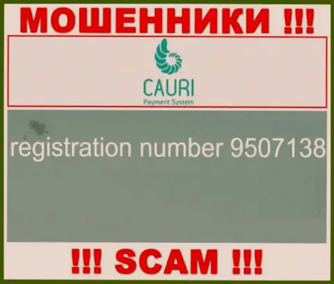 Номер регистрации, принадлежащий противоправно действующей организации Каури Ком - 9507138