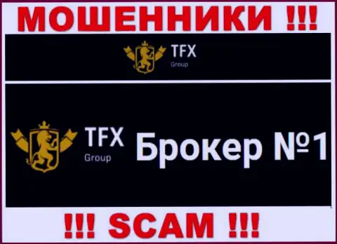 Не стоит доверять финансовые активы TFX Group, так как их область деятельности, Форекс, разводняк