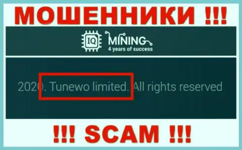 Лохотронщики АйКьюМайнинг пишут, что Tunewo Limited владеет их разводняком