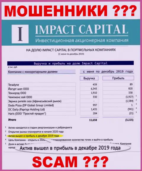 На официальном сайте ImpactCapital Com рисуют доход организации ?