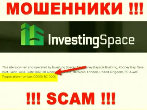 Рег. номер неправомерно действующей организации Investing Space: 00000 BC 0000