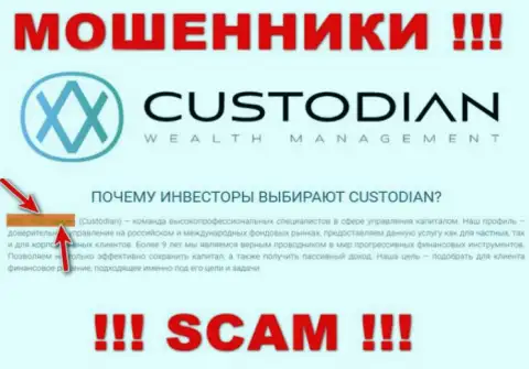 Юридическим лицом, владеющим интернет аферистами Кустодиан, является ООО Кастодиан