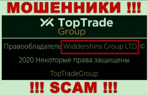 Сведения о юридическом лице Top Trade Group у них на официальном веб-портале имеются - это Widdershins Group LTD