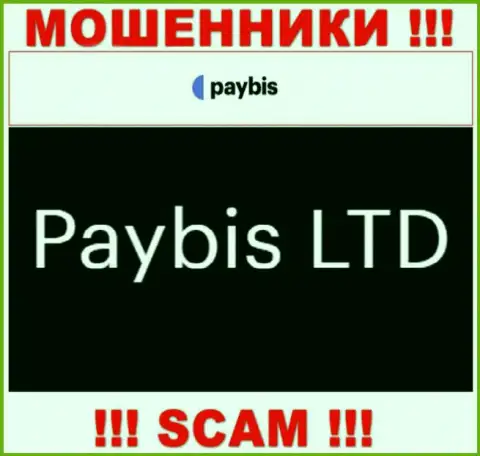 ПэйБис Лтд владеет конторой PayBis - это ВОРЮГИ !!!
