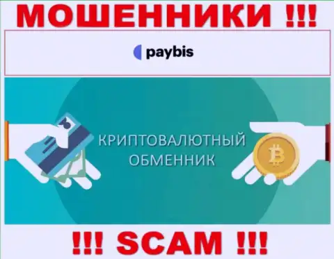 Crypto exchanger - это тип деятельности мошеннической организации PayBis