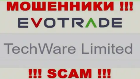 Юр лицом ЕвоТрейд считается - TechWare Limited