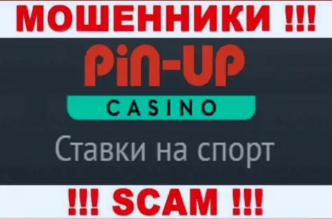 Основная работа ПинАп Казино - это Casino, будьте очень внимательны, прокручивают делишки неправомерно