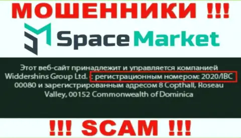 Рег. номер, который принадлежит организации Space Market - 2020/IBC 00080