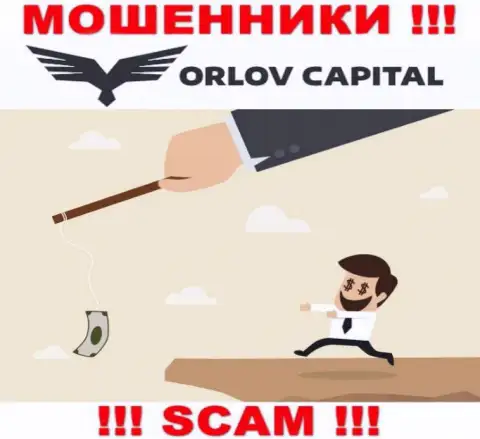 Не доверяйте Орлов Капитал - сохраните собственные сбережения