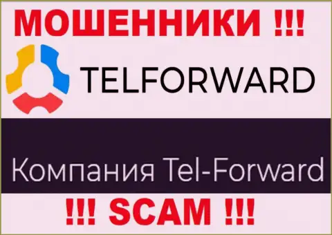 Юридическое лицо TelForward это Тел-Форвард, именно такую инфу разместили аферисты на своем веб-ресурсе
