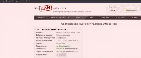 Сайт Budrigan Ltd в пределах России был заблокирован Генеральной прокуратурой