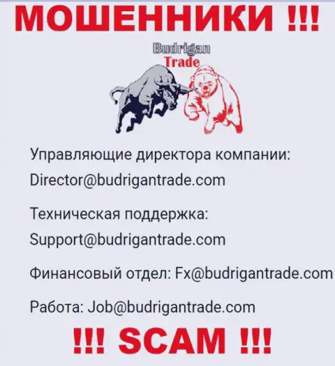 Не отправляйте сообщение на e-mail BudriganTrade - это интернет ворюги, которые прикарманивают финансовые средства наивных людей