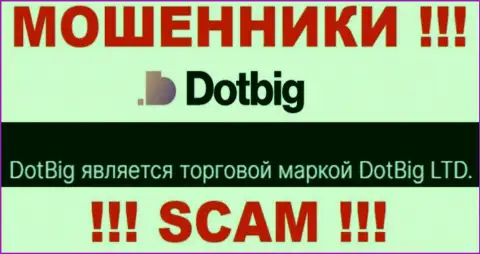 Dot Big - юридическое лицо мошенников организация DotBig LTD