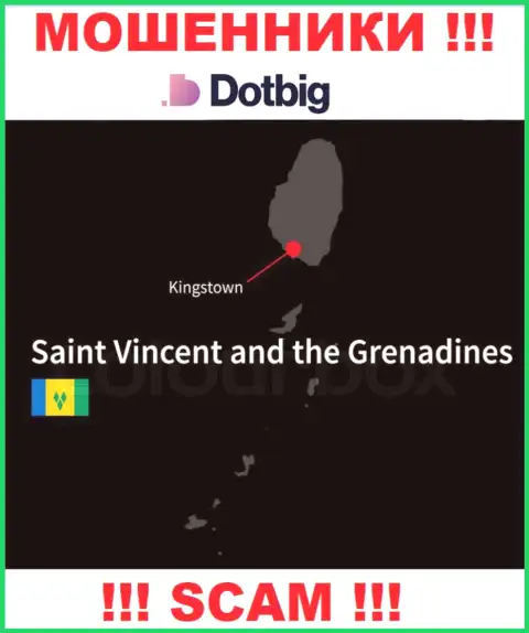 Dot Big имеют оффшорную регистрацию: Kingstown, St. Vincent and the Grenadines - будьте крайне бдительны, махинаторы