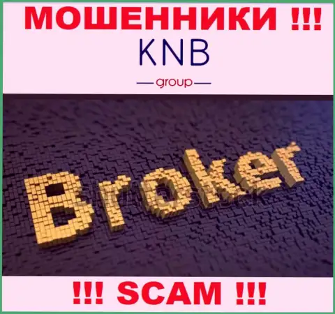 Тип деятельности преступно действующей организации KNB Group - это Брокер