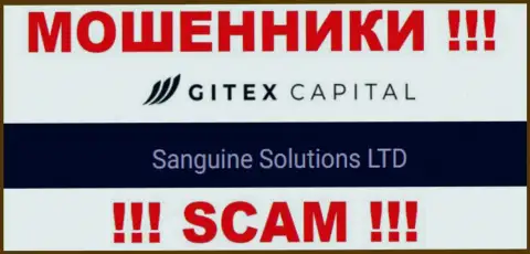 Юр. лицо GitexCapital Pro - это Sanguine Solutions LTD, именно такую информацию расположили мошенники у себя на сайте