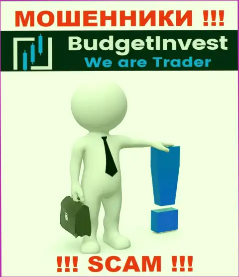 BudgetInvest Org - это internet-ворюги !!! Не сообщают, кто именно ими руководит