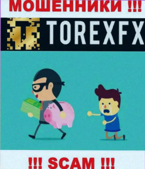 Не советуем совместно сотрудничать с брокерской организацией TorexFX - обманывают валютных трейдеров