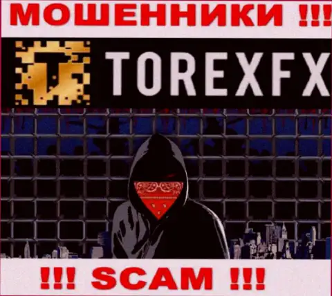 TorexFX скрывают сведения о руководстве конторы